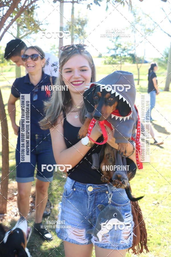 Buy your photos of the event5 Encontro Oficial de Dachshunds e Concurso de Fantasias do Clube dos Salsichanos de Ribeiro Preto/SP on Fotop