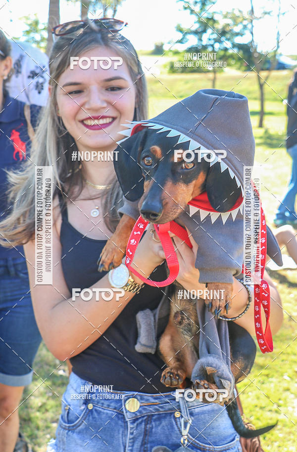 Buy your photos of the event5� Encontro Oficial de Dachshunds e Concurso de Fantasias do Clube dos Salsichanos de Ribeir�o Preto/SP on Fotop