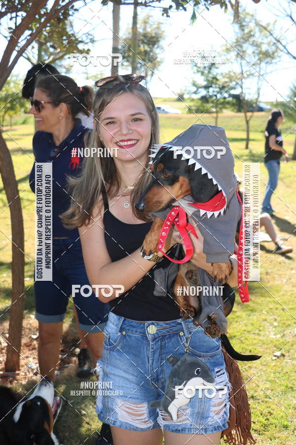 Buy your photos of the event5 Encontro Oficial de Dachshunds e Concurso de Fantasias do Clube dos Salsichanos de Ribeiro Preto/SP on Fotop