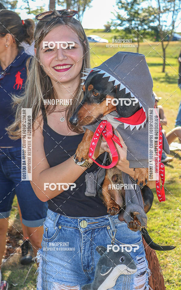 Buy your photos of the event5� Encontro Oficial de Dachshunds e Concurso de Fantasias do Clube dos Salsichanos de Ribeir�o Preto/SP on Fotop