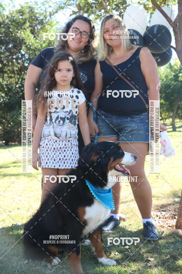 Buy your photos of the event5 Encontro Oficial de Dachshunds e Concurso de Fantasias do Clube dos Salsichanos de Ribeiro Preto/SP on Fotop