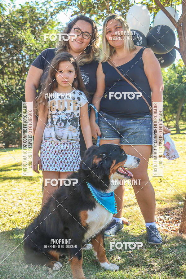 Acquista le foto dell'evento5� Encontro Oficial de Dachshunds e Concurso de Fantasias do Clube dos Salsichanos de Ribeir�o Preto/SP in Fotop