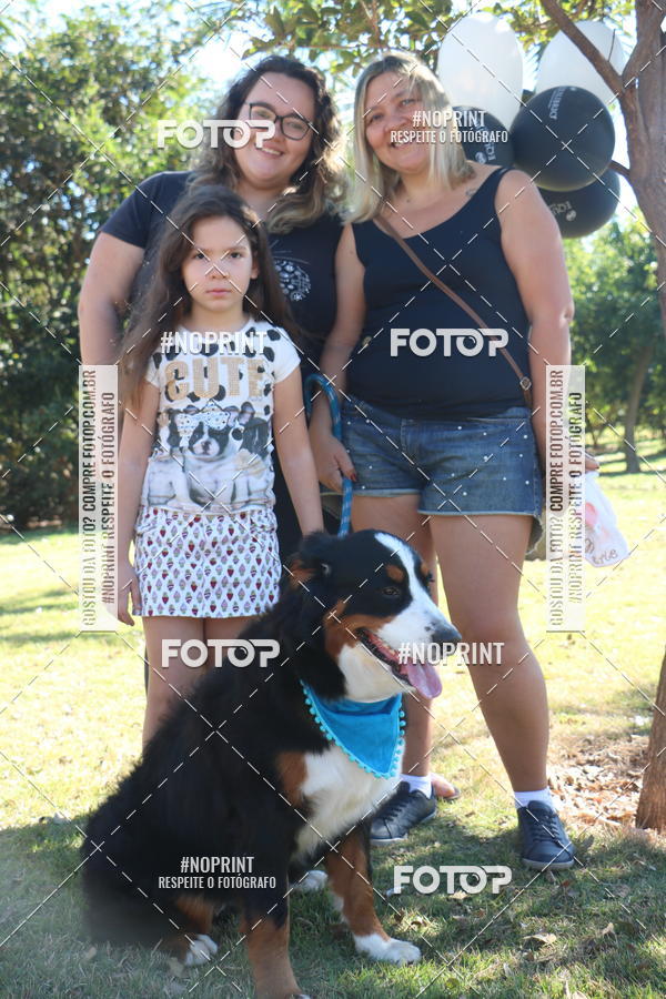 Buy your photos of the event5 Encontro Oficial de Dachshunds e Concurso de Fantasias do Clube dos Salsichanos de Ribeiro Preto/SP on Fotop