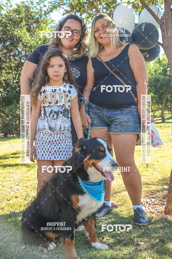 Acquista le foto dell'evento5� Encontro Oficial de Dachshunds e Concurso de Fantasias do Clube dos Salsichanos de Ribeir�o Preto/SP in Fotop