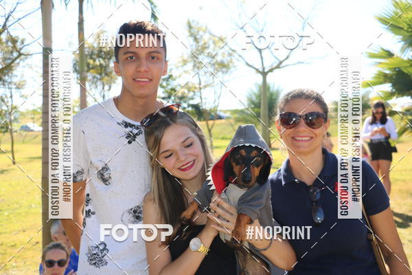 Buy your photos of the event5 Encontro Oficial de Dachshunds e Concurso de Fantasias do Clube dos Salsichanos de Ribeiro Preto/SP on Fotop