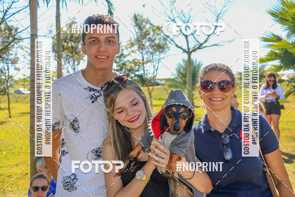 Acquista le foto dell'evento5� Encontro Oficial de Dachshunds e Concurso de Fantasias do Clube dos Salsichanos de Ribeir�o Preto/SP in Fotop