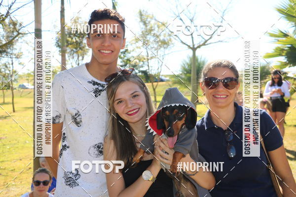 Buy your photos of the event5 Encontro Oficial de Dachshunds e Concurso de Fantasias do Clube dos Salsichanos de Ribeiro Preto/SP on Fotop