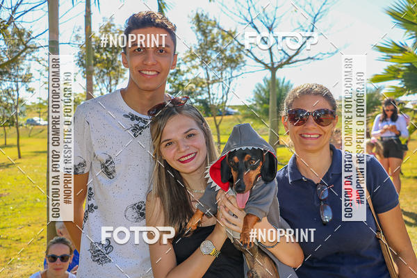 Acquista le foto dell'evento5� Encontro Oficial de Dachshunds e Concurso de Fantasias do Clube dos Salsichanos de Ribeir�o Preto/SP in Fotop