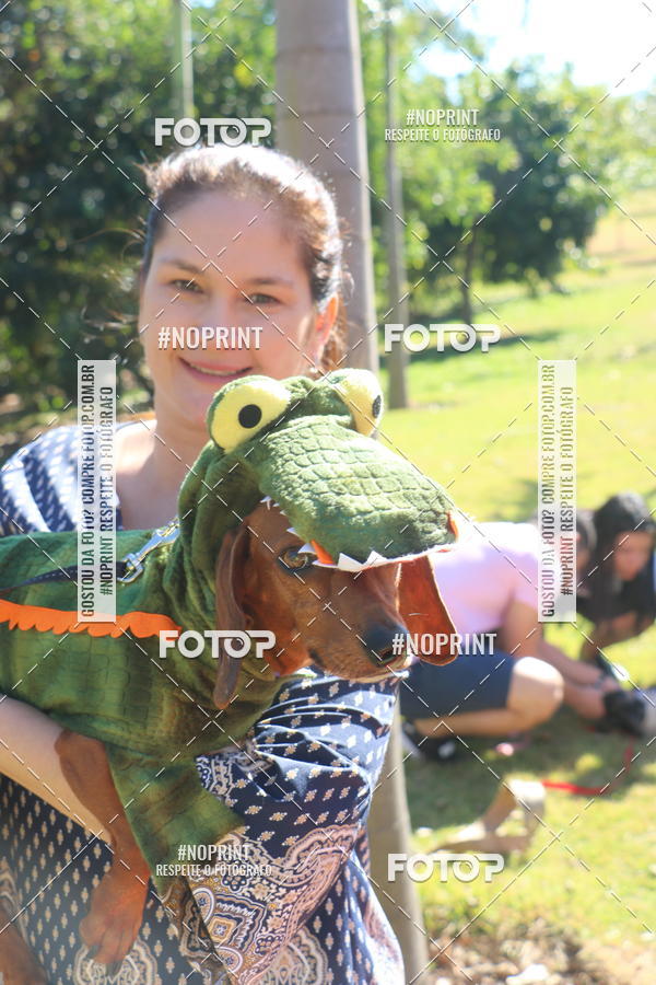 Buy your photos of the event5 Encontro Oficial de Dachshunds e Concurso de Fantasias do Clube dos Salsichanos de Ribeiro Preto/SP on Fotop