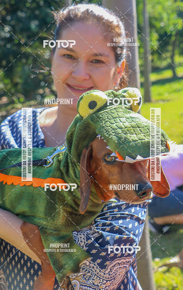 Acquista le foto dell'evento5� Encontro Oficial de Dachshunds e Concurso de Fantasias do Clube dos Salsichanos de Ribeir�o Preto/SP in Fotop