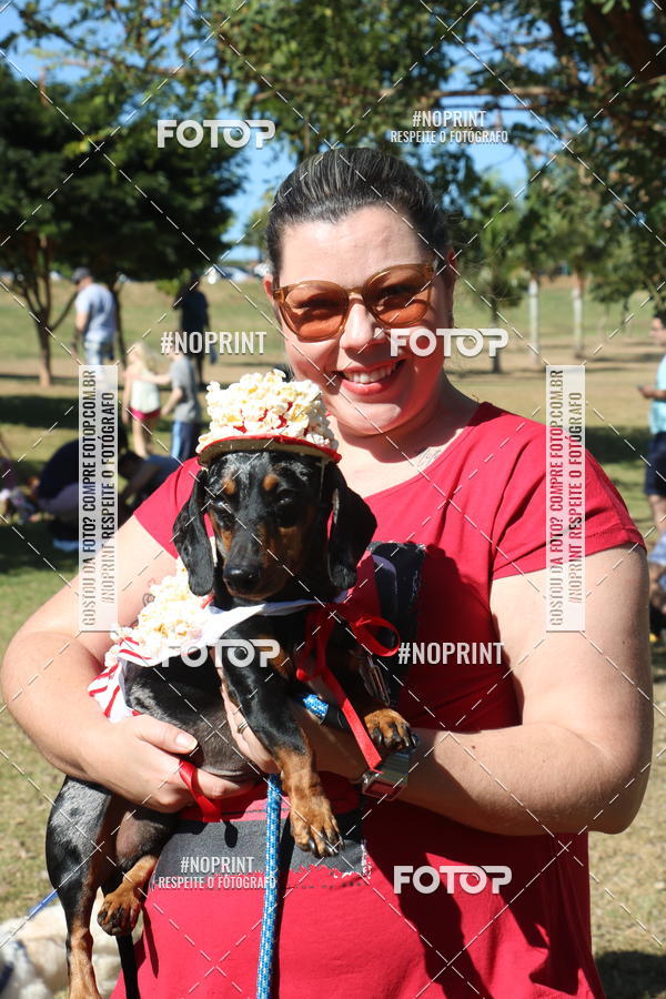 Buy your photos of the event5 Encontro Oficial de Dachshunds e Concurso de Fantasias do Clube dos Salsichanos de Ribeiro Preto/SP on Fotop