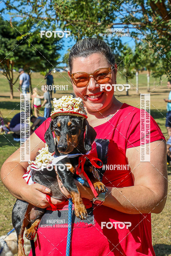 Acquista le foto dell'evento5� Encontro Oficial de Dachshunds e Concurso de Fantasias do Clube dos Salsichanos de Ribeir�o Preto/SP in Fotop