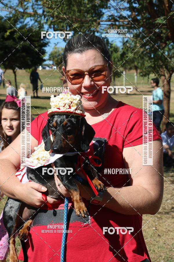 Buy your photos of the event5 Encontro Oficial de Dachshunds e Concurso de Fantasias do Clube dos Salsichanos de Ribeiro Preto/SP on Fotop