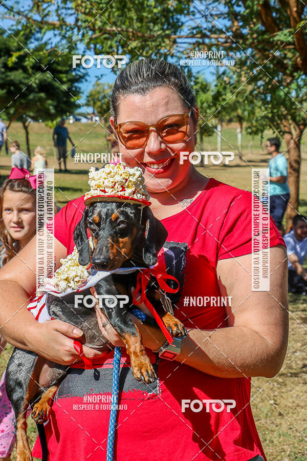Acquista le foto dell'evento5� Encontro Oficial de Dachshunds e Concurso de Fantasias do Clube dos Salsichanos de Ribeir�o Preto/SP in Fotop
