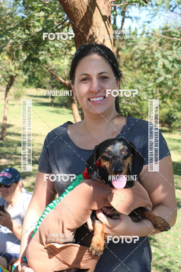Buy your photos of the event5 Encontro Oficial de Dachshunds e Concurso de Fantasias do Clube dos Salsichanos de Ribeiro Preto/SP on Fotop