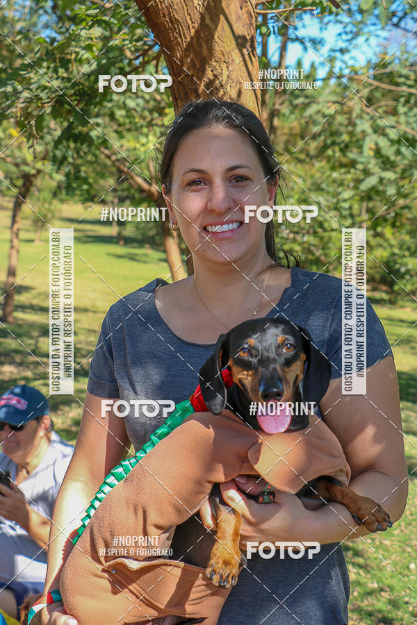 Acquista le foto dell'evento5� Encontro Oficial de Dachshunds e Concurso de Fantasias do Clube dos Salsichanos de Ribeir�o Preto/SP in Fotop