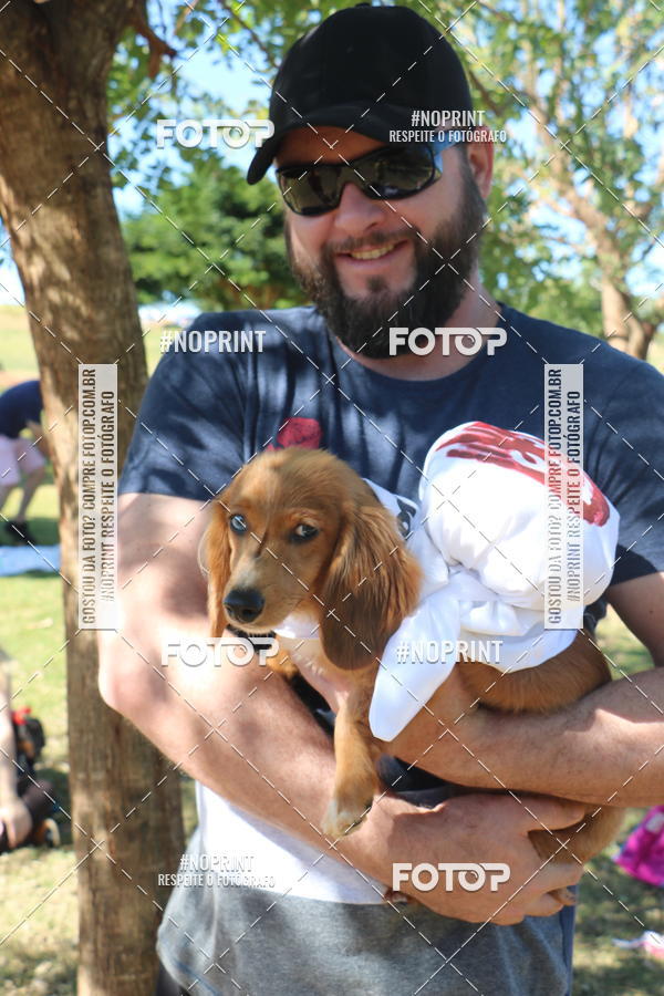 Buy your photos of the event5 Encontro Oficial de Dachshunds e Concurso de Fantasias do Clube dos Salsichanos de Ribeiro Preto/SP on Fotop