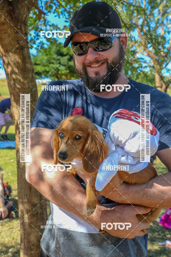 Acquista le foto dell'evento5� Encontro Oficial de Dachshunds e Concurso de Fantasias do Clube dos Salsichanos de Ribeir�o Preto/SP in Fotop