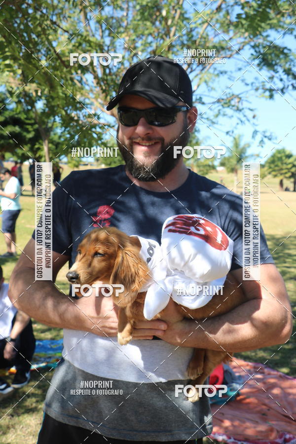 Buy your photos of the event5 Encontro Oficial de Dachshunds e Concurso de Fantasias do Clube dos Salsichanos de Ribeiro Preto/SP on Fotop