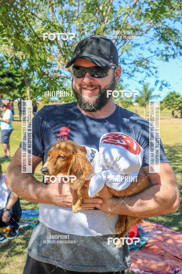 Acquista le foto dell'evento5� Encontro Oficial de Dachshunds e Concurso de Fantasias do Clube dos Salsichanos de Ribeir�o Preto/SP in Fotop