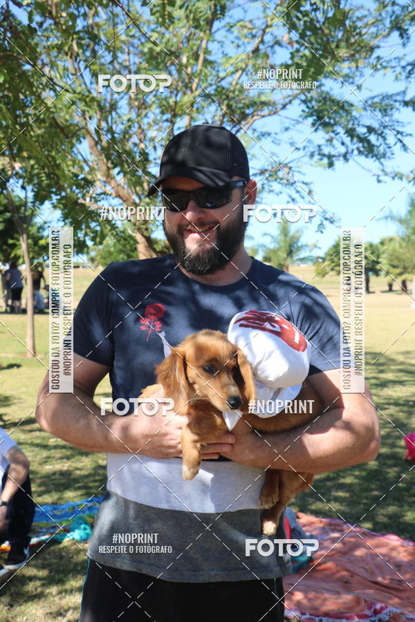 Buy your photos of the event5 Encontro Oficial de Dachshunds e Concurso de Fantasias do Clube dos Salsichanos de Ribeiro Preto/SP on Fotop