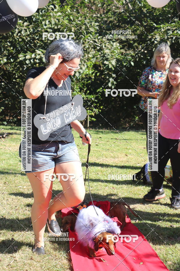 Buy your photos of the event5 Encontro Oficial de Dachshunds e Concurso de Fantasias do Clube dos Salsichanos de Ribeiro Preto/SP on Fotop