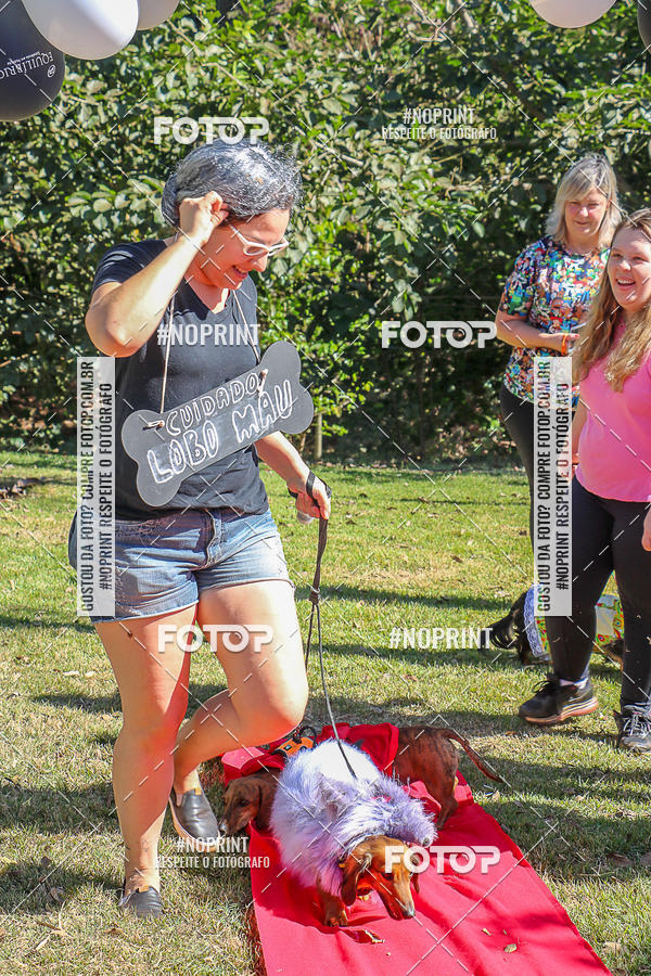 Acquista le foto dell'evento5� Encontro Oficial de Dachshunds e Concurso de Fantasias do Clube dos Salsichanos de Ribeir�o Preto/SP in Fotop