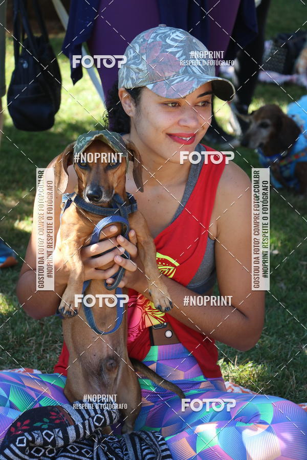 Buy your photos of the event5 Encontro Oficial de Dachshunds e Concurso de Fantasias do Clube dos Salsichanos de Ribeiro Preto/SP on Fotop