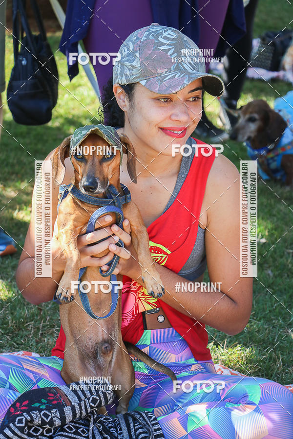 Acquista le foto dell'evento5� Encontro Oficial de Dachshunds e Concurso de Fantasias do Clube dos Salsichanos de Ribeir�o Preto/SP in Fotop