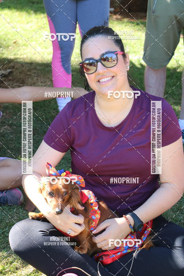 Buy your photos of the event5 Encontro Oficial de Dachshunds e Concurso de Fantasias do Clube dos Salsichanos de Ribeiro Preto/SP on Fotop