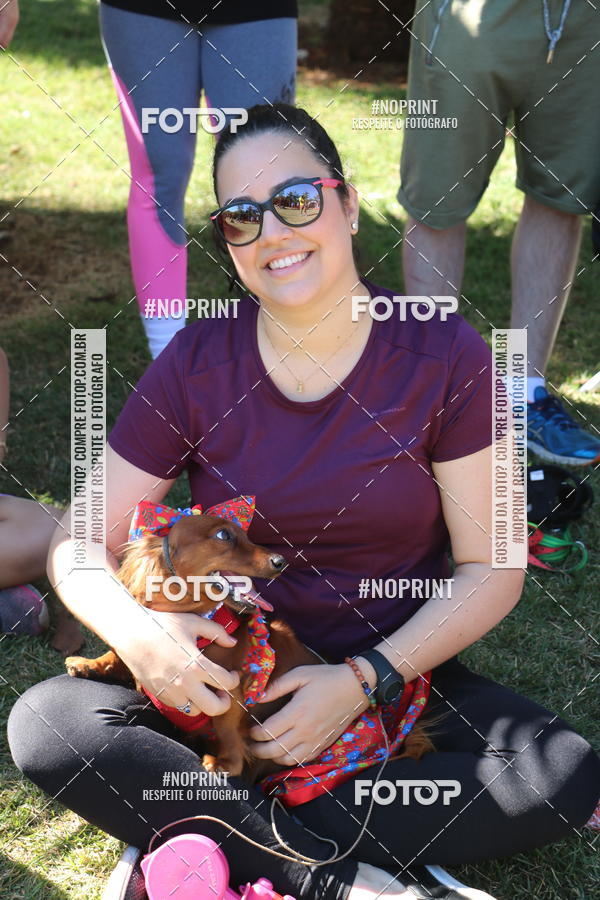 Buy your photos of the event5 Encontro Oficial de Dachshunds e Concurso de Fantasias do Clube dos Salsichanos de Ribeiro Preto/SP on Fotop