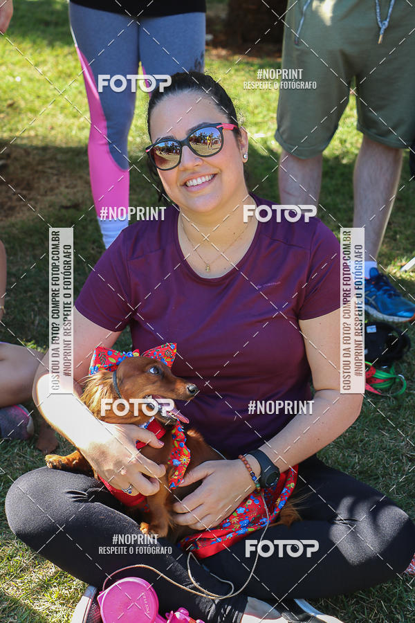 Acquista le foto dell'evento5� Encontro Oficial de Dachshunds e Concurso de Fantasias do Clube dos Salsichanos de Ribeir�o Preto/SP in Fotop
