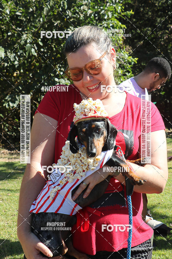 Acquista le foto dell'evento5� Encontro Oficial de Dachshunds e Concurso de Fantasias do Clube dos Salsichanos de Ribeir�o Preto/SP in Fotop