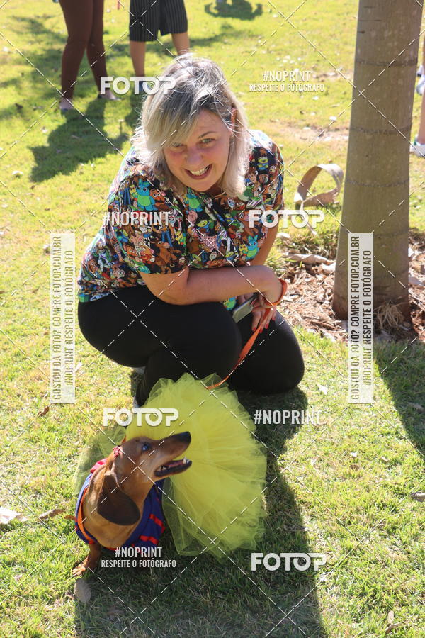 Buy your photos of the event5 Encontro Oficial de Dachshunds e Concurso de Fantasias do Clube dos Salsichanos de Ribeiro Preto/SP on Fotop