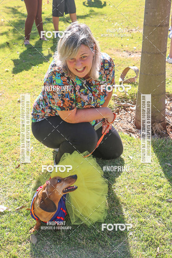 Acquista le foto dell'evento5� Encontro Oficial de Dachshunds e Concurso de Fantasias do Clube dos Salsichanos de Ribeir�o Preto/SP in Fotop