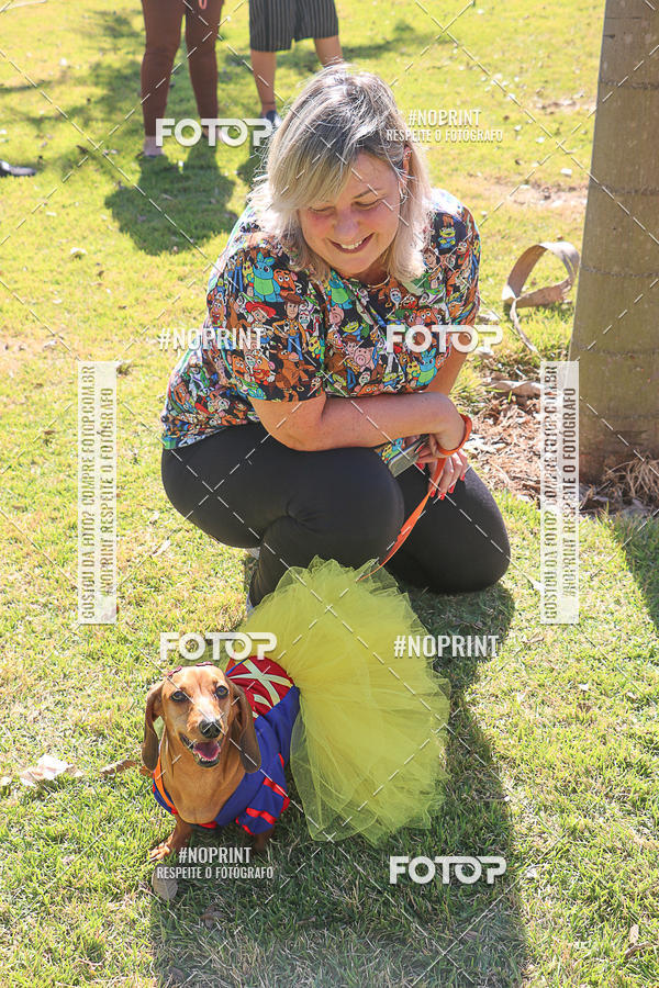Acquista le foto dell'evento5� Encontro Oficial de Dachshunds e Concurso de Fantasias do Clube dos Salsichanos de Ribeir�o Preto/SP in Fotop
