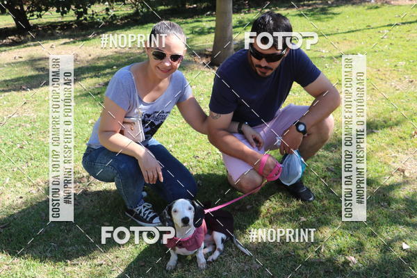 Buy your photos of the event5 Encontro Oficial de Dachshunds e Concurso de Fantasias do Clube dos Salsichanos de Ribeiro Preto/SP on Fotop