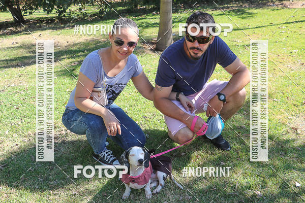 Acquista le foto dell'evento5� Encontro Oficial de Dachshunds e Concurso de Fantasias do Clube dos Salsichanos de Ribeir�o Preto/SP in Fotop