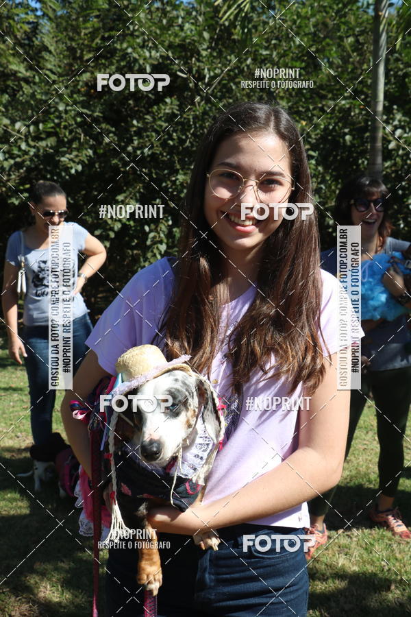 Buy your photos of the event5 Encontro Oficial de Dachshunds e Concurso de Fantasias do Clube dos Salsichanos de Ribeiro Preto/SP on Fotop