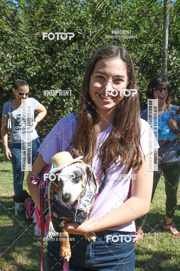Acquista le foto dell'evento5� Encontro Oficial de Dachshunds e Concurso de Fantasias do Clube dos Salsichanos de Ribeir�o Preto/SP in Fotop