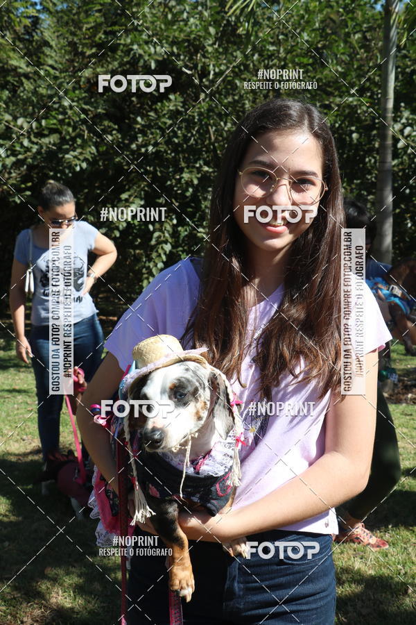 Buy your photos of the event5 Encontro Oficial de Dachshunds e Concurso de Fantasias do Clube dos Salsichanos de Ribeiro Preto/SP on Fotop