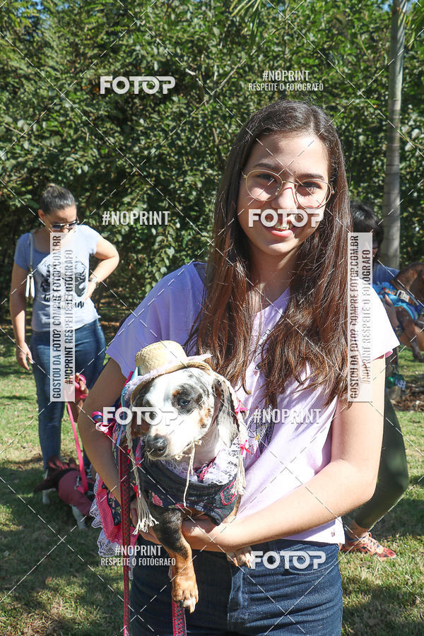 Acquista le foto dell'evento5� Encontro Oficial de Dachshunds e Concurso de Fantasias do Clube dos Salsichanos de Ribeir�o Preto/SP in Fotop