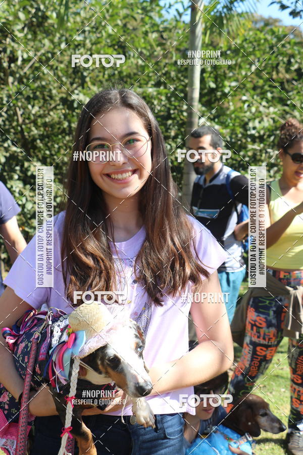 Buy your photos of the event5 Encontro Oficial de Dachshunds e Concurso de Fantasias do Clube dos Salsichanos de Ribeiro Preto/SP on Fotop