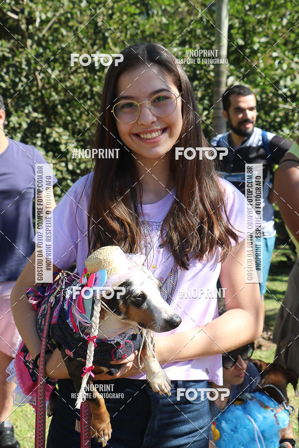 Acquista le foto dell'evento5� Encontro Oficial de Dachshunds e Concurso de Fantasias do Clube dos Salsichanos de Ribeir�o Preto/SP in Fotop