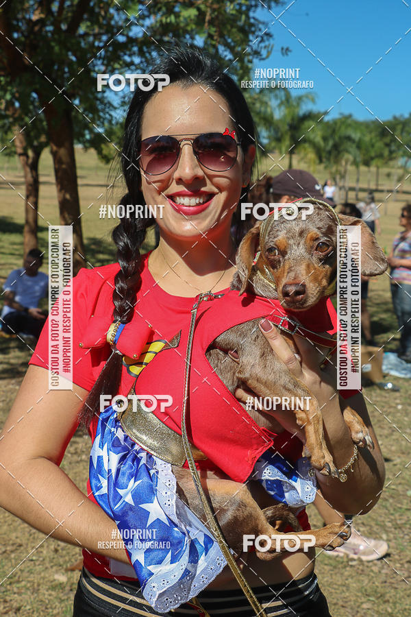 Buy your photos of the event5� Encontro Oficial de Dachshunds e Concurso de Fantasias do Clube dos Salsichanos de Ribeir�o Preto/SP on Fotop