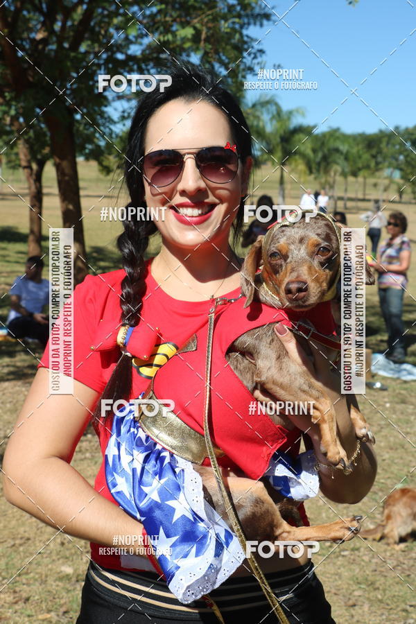 Buy your photos of the event5 Encontro Oficial de Dachshunds e Concurso de Fantasias do Clube dos Salsichanos de Ribeiro Preto/SP on Fotop