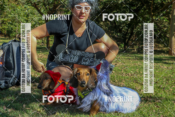 Buy your photos of the event5� Encontro Oficial de Dachshunds e Concurso de Fantasias do Clube dos Salsichanos de Ribeir�o Preto/SP on Fotop