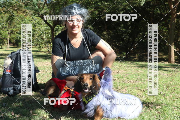 Buy your photos of the event5 Encontro Oficial de Dachshunds e Concurso de Fantasias do Clube dos Salsichanos de Ribeiro Preto/SP on Fotop