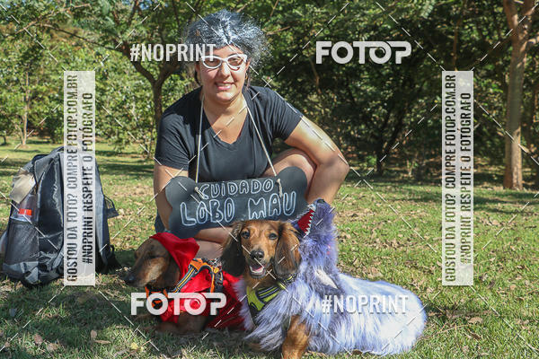Buy your photos of the event5� Encontro Oficial de Dachshunds e Concurso de Fantasias do Clube dos Salsichanos de Ribeir�o Preto/SP on Fotop
