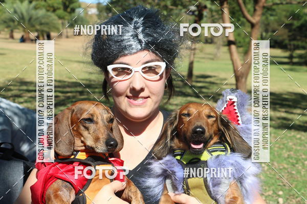 Buy your photos of the event5 Encontro Oficial de Dachshunds e Concurso de Fantasias do Clube dos Salsichanos de Ribeiro Preto/SP on Fotop